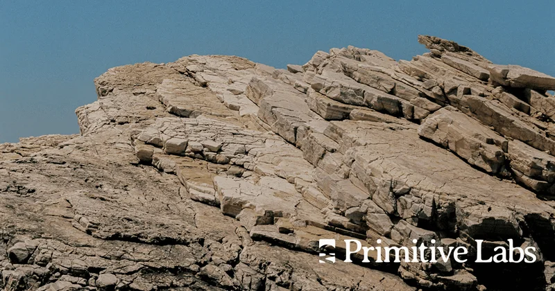 Primitive Labs company image with its name over a rocky landscape
